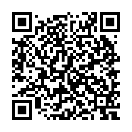 QR code for VLE293