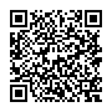 QR code for VLI8119