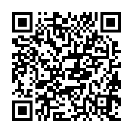QR code for VNG290