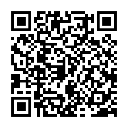 QR code for VNP0380