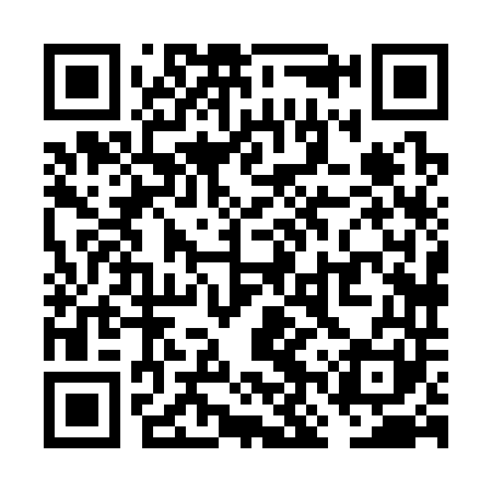 QR code for VNX341