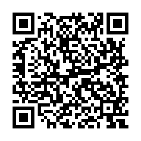 QR code for VOZ993