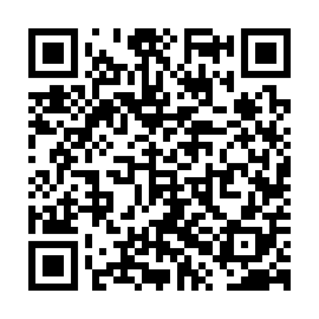QR code for VPF308