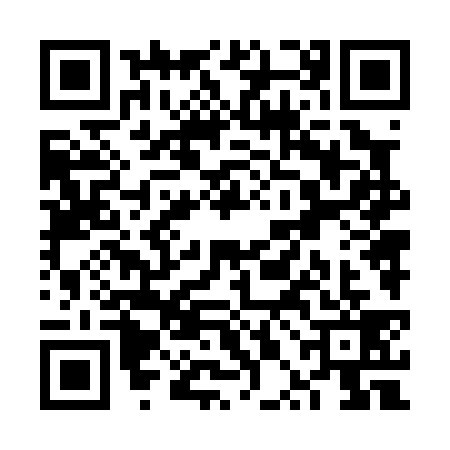 QR code for VPN0393