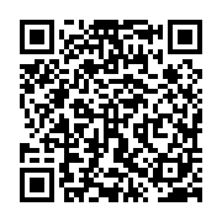 QR code for VPZ101