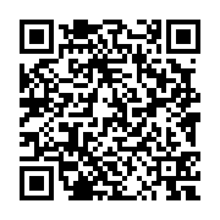 QR code for VRL0313