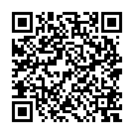 QR code for VVI6487