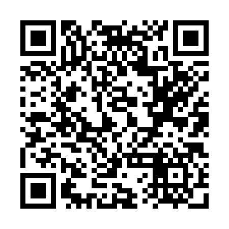 QR code for VVN387