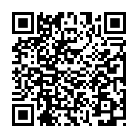 QR code for VYN0521