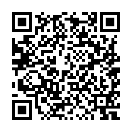 QR code for VZG9911