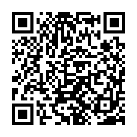 QR code for VZZ313