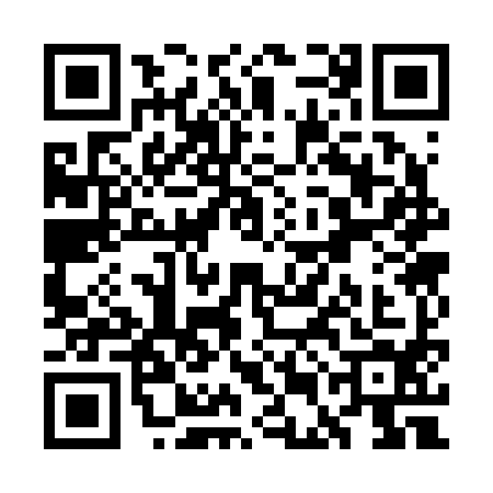 QR code for WEC2941
