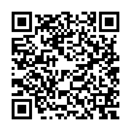 QR code for WER9009