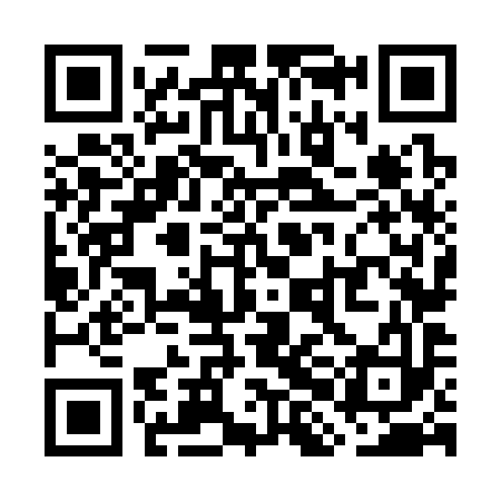 QR code for WHN393