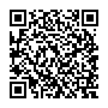 QR code for WID2407