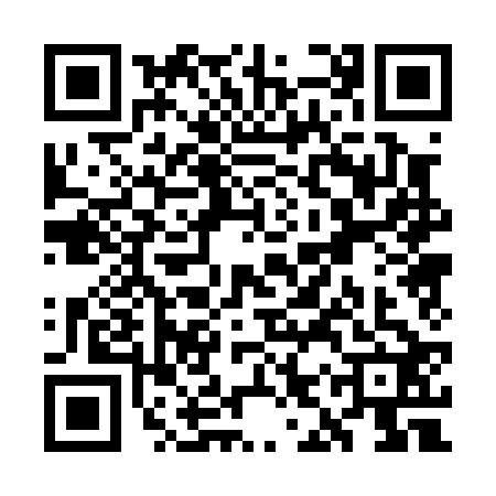 QR code for WIP0225
