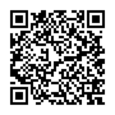 QR code for WJG0289