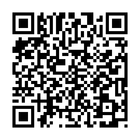 QR code for WJK8433