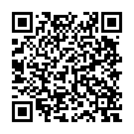 QR code for WPI446