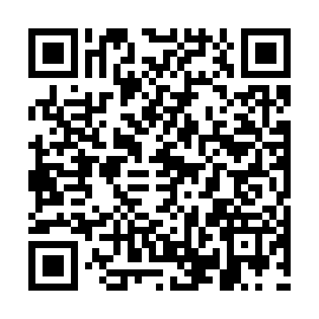 QR code for WPO3079