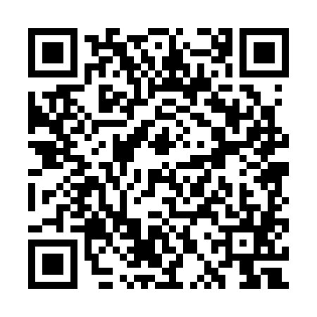 QR code for WPP3856