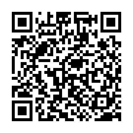 QR code for WSI370