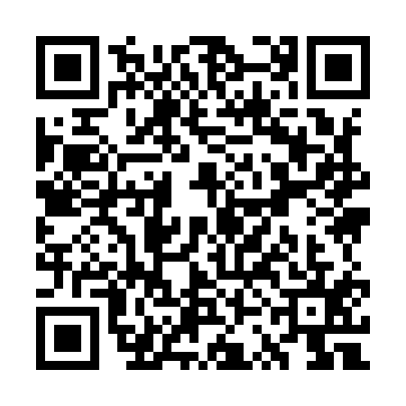 QR code for WSI9153