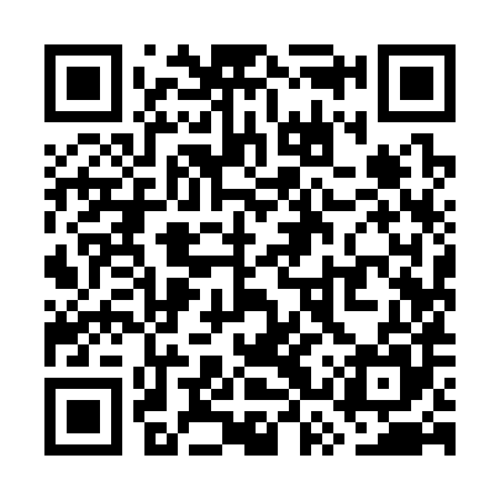 QR code for WSY385