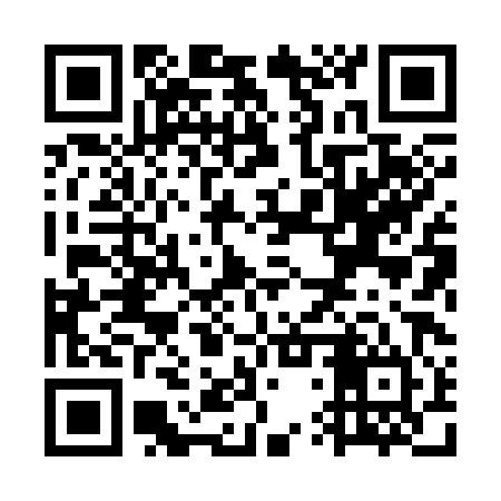 QR code for WTX384