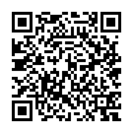 QR code for WWE1313