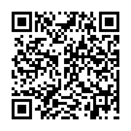QR code for WYS738