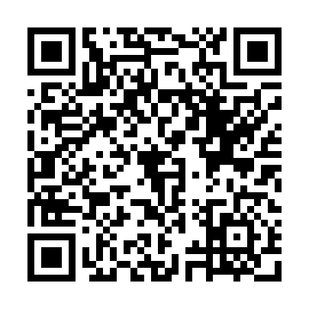 QR code for WYX0163