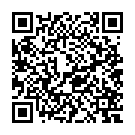 QR code for WZB3079