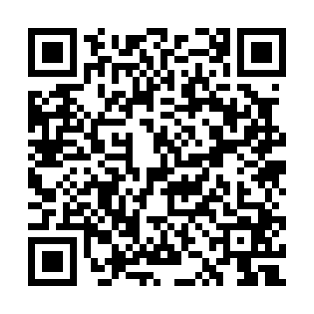 QR code for WZK0446