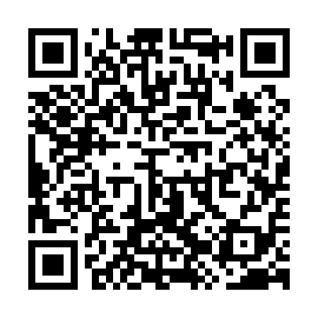 QR code for WZS119