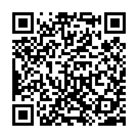 QR code for WZS489