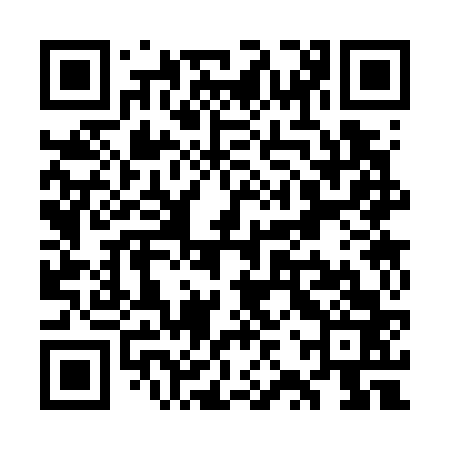 QR code for WZS763