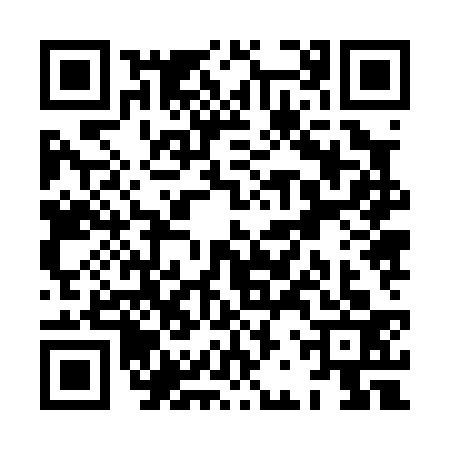 QR code for XBZ0333