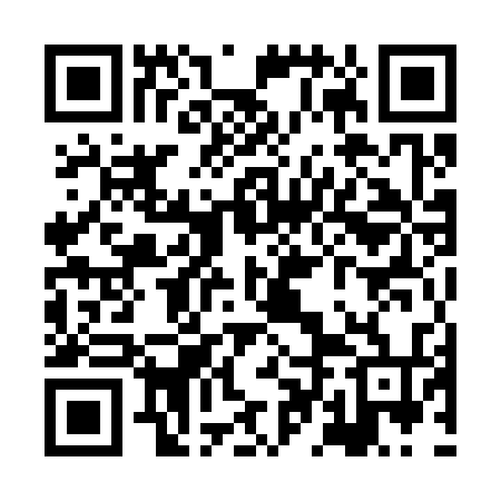 QR code for XDM334