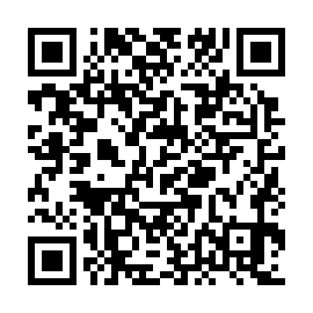 QR code for XDN371