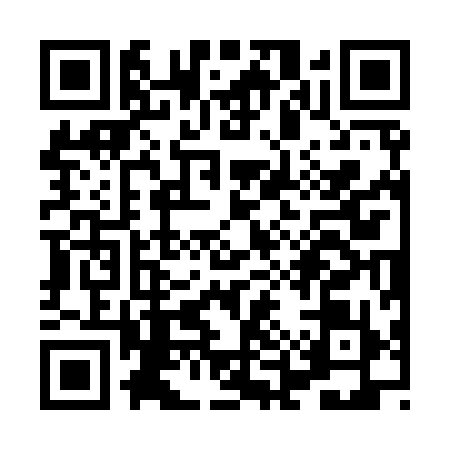 QR code for XES9991