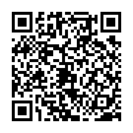 QR code for XGI6196