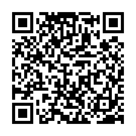 QR code for XGS533