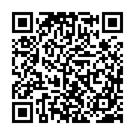QR code for XGX967