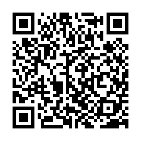 QR code for XIA009