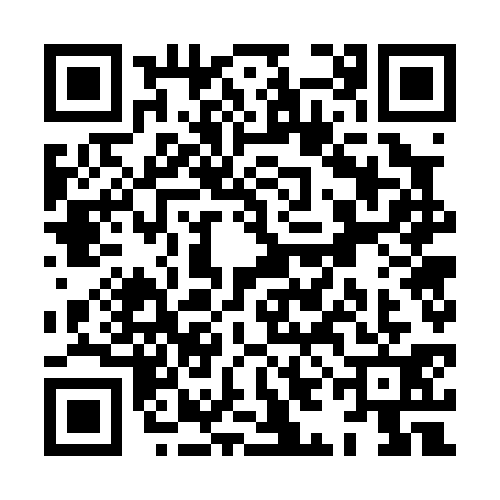 QR code for XIG0313