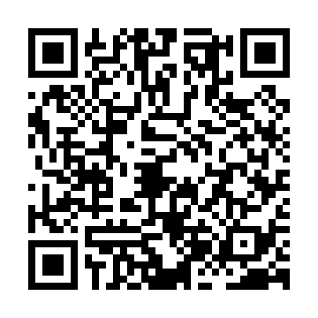 QR code for XJG0393