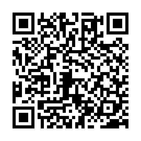 QR code for XJG0491
