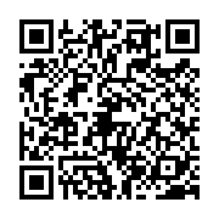 QR code for XJK4299