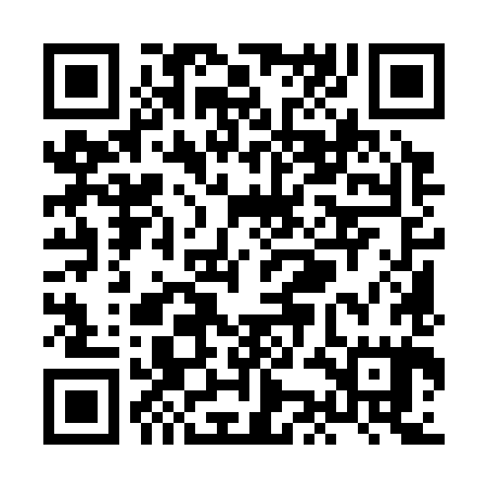 QR code for XKM385